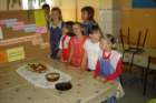 dsc05689_small.jpg