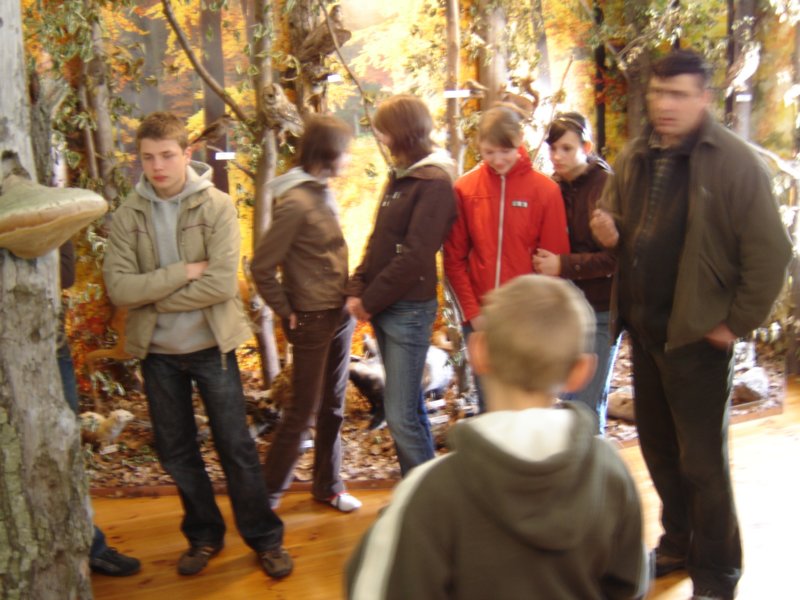 dsc04877.jpg
