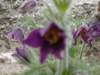 dsc04888_small.jpg
