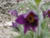 dsc04889_small.jpg