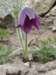 dsc04890_small.jpg