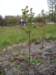 dsc04893_small.jpg