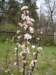 dsc04894_small.jpg
