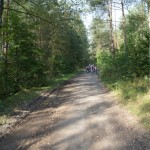 DSC03980